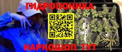 spice Комсомольск-на-Амуре