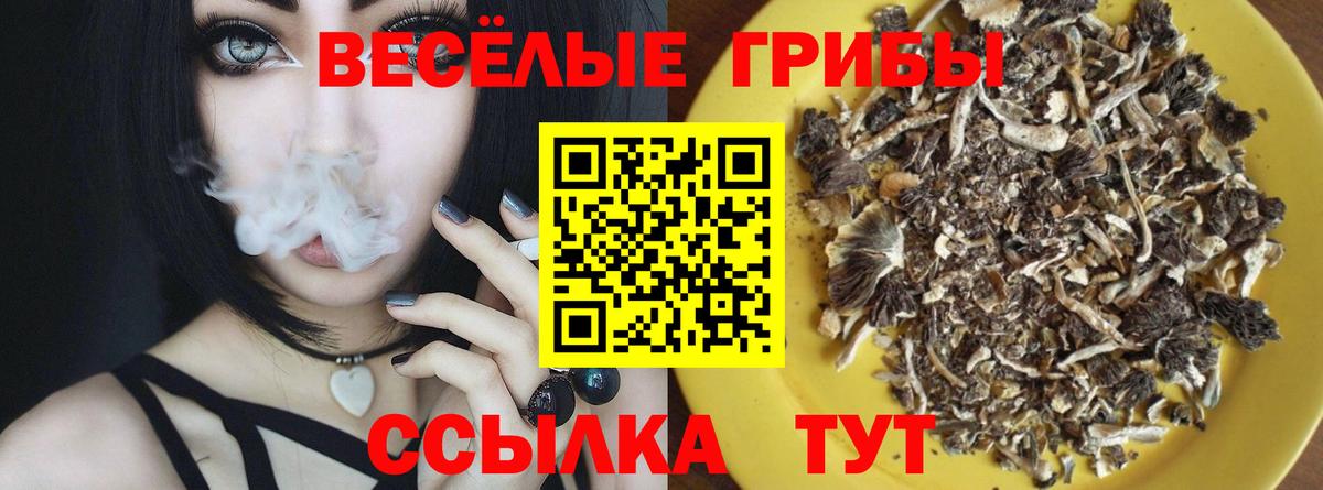 Псилоцибиновые грибы Psilocybe  Псилоцибиновые грибы мухоморы  Вход с VPN  Карпинск 